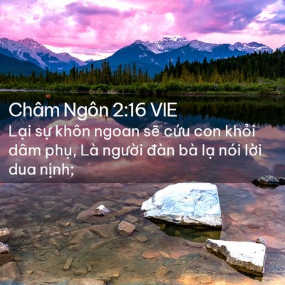 Picture 02 - Châm Ngôn 2:16 VIE - Lại sự khôn ngoan sẽ cứu con khỏi dâm - Bible Verse Picture