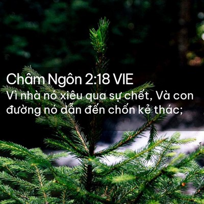 Picture 02 - Châm Ngôn 2:18 VIE - Vì nhà nó xiêu qua sự chết, Và con - Bible Verse Picture