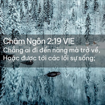 Picture 02 - Châm Ngôn 2:19 VIE - Chẳng ai đi đến nàng mà trở về, - Bible Verse Picture
