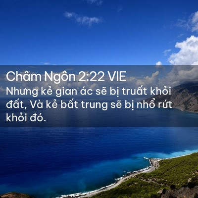 Picture 02 - Châm Ngôn 2:22 VIE - Nhưng kẻ gian ác sẽ bị truất khỏi - Bible Verse Picture