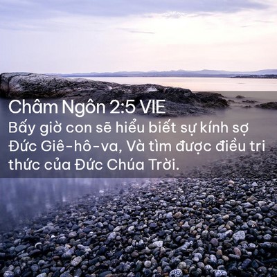 Picture 02 - Châm Ngôn 2:5 VIE - Bấy giờ con sẽ hiểu biết sự kính - Bible Verse Picture