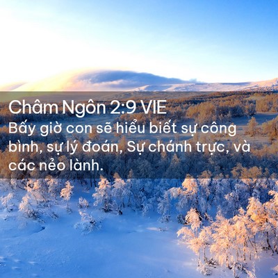Picture 02 - Châm Ngôn 2:9 VIE - Bấy giờ con sẽ hiểu biết sự công - Bible Verse Picture