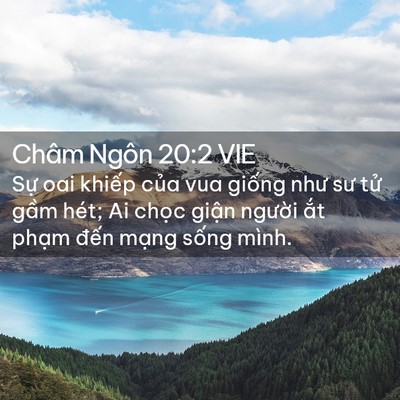 Picture 02 - Châm Ngôn 20:2 VIE - Sự oai khiếp của vua giống như sư tử - Bible Verse Picture