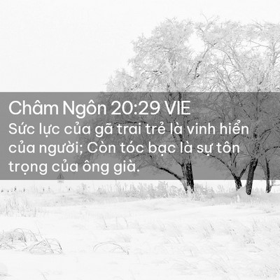 Picture 02 - Châm Ngôn 20:29 VIE - Sức lực của gã trai trẻ là vinh hiển - Bible Verse Picture
