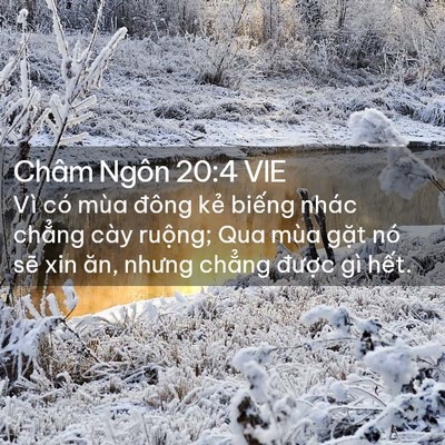 Picture 02 - Châm Ngôn 20:4 VIE - Vì có mùa đông kẻ biếng nhác chẳng - Bible Verse Picture