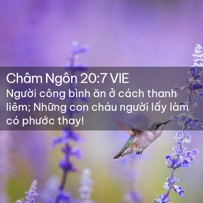 Picture 02 - Châm Ngôn 20:7 VIE - Người công bình ăn ở cách thanh liêm; - Bible Verse Picture