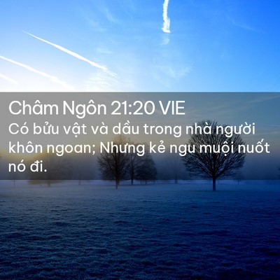 Picture 02 - Châm Ngôn 21:20 VIE - Có bửu vật và dầu trong nhà người - Bible Verse Picture