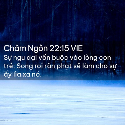 Picture 02 - Châm Ngôn 22:15 VIE - Sự ngu dại vốn buộc vào lòng con trẻ; - Bible Verse Picture