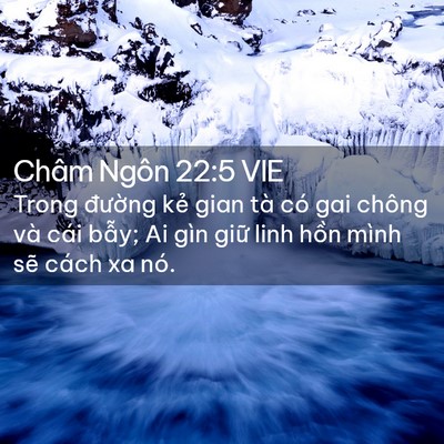 Picture 02 - Châm Ngôn 22:5 VIE - Trong đường kẻ gian tà có gai chông và - Bible Verse Picture