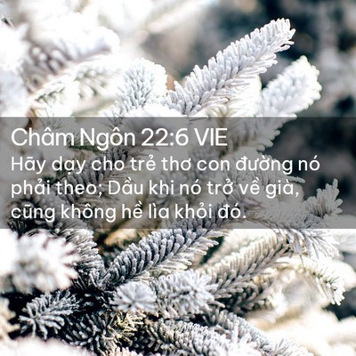 Picture 02 - Châm Ngôn 22:6 VIE - Hãy dạy cho trẻ thơ con đường nó - Bible Verse Picture