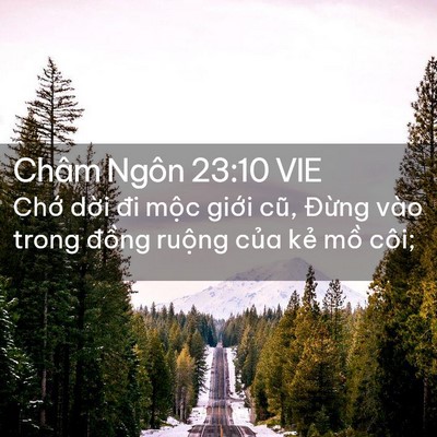 Picture 02 - Châm Ngôn 23:10 VIE - Chớ dời đi mộc giới cũ, Đừng vào - Bible Verse Picture