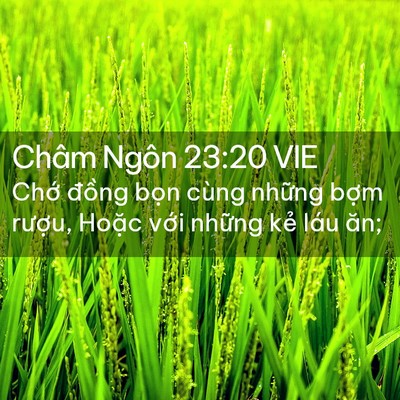 Picture 02 - Châm Ngôn 23:20 VIE - Chớ đồng bọn cùng những bợm rượu, - Bible Verse Picture