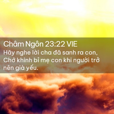Picture 02 - Châm Ngôn 23:22 VIE - Hãy nghe lời cha đã sanh ra con, Chớ khinh - Bible Verse Picture