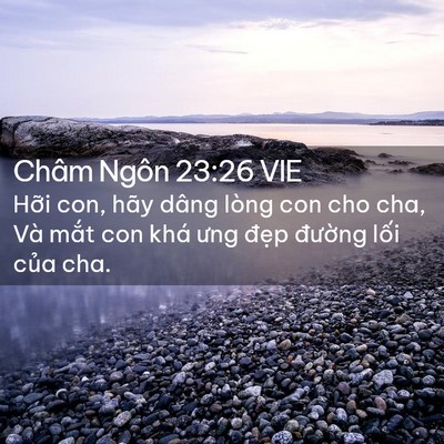 Picture 02 - Châm Ngôn 23:26 VIE - Hỡi con, hãy dâng lòng con cho cha, Và - Bible Verse Picture