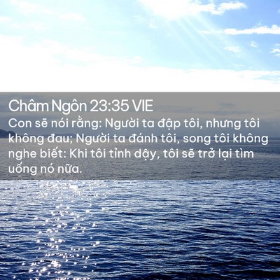 Picture 02 - Châm Ngôn 23:35 VIE - Con sẽ nói rằng: Người ta đập tôi, - Bible Verse Picture