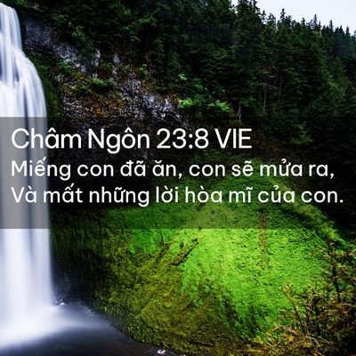 Picture 02 - Châm Ngôn 23:8 VIE - Miếng con đã ăn, con sẽ mửa ra, Và - Bible Verse Picture