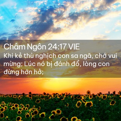 Picture 02 - Châm Ngôn 24:17 VIE - Khi kẻ thù nghịch con sa ngã, chớ vui - Bible Verse Picture