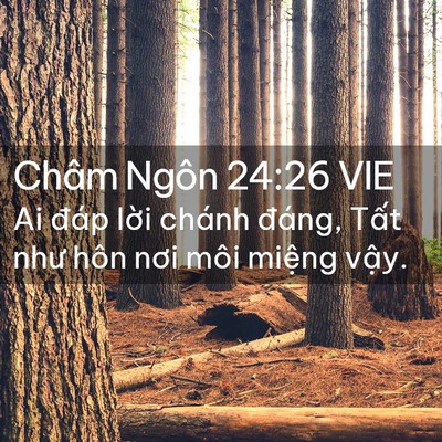 Picture 02 - Châm Ngôn 24:26 VIE - Ai đáp lời chánh đáng, Tất như hôn - Bible Verse Picture