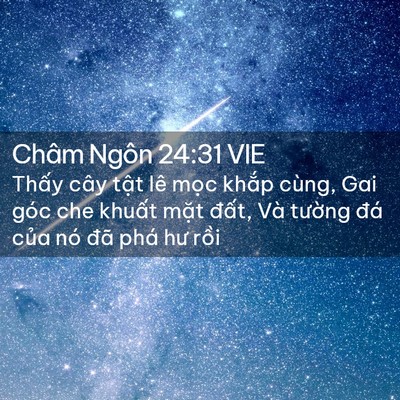 Picture 02 - Châm Ngôn 24:31 VIE - Thấy cây tật lê mọc khắp cùng, Gai - Bible Verse Picture
