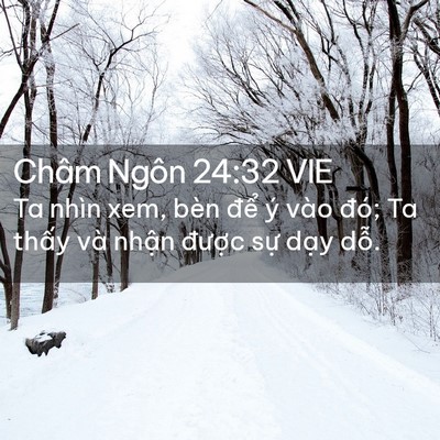 Picture 02 - Châm Ngôn 24:32 VIE - Ta nhìn xem, bèn để ý vào đó; Ta thấy - Bible Verse Picture