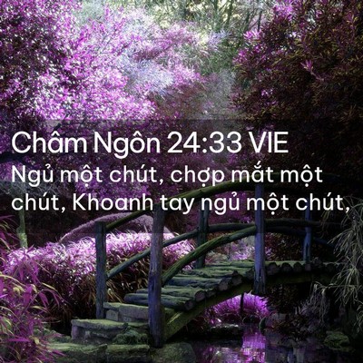 Picture 02 - Châm Ngôn 24:33 VIE - Ngủ một chút, chợp mắt một chút, - Bible Verse Picture