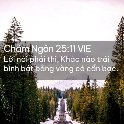 Picture 02 - Châm Ngôn 25:11 VIE - Lời nói phải thì, Khác nào trái bình - Bible Verse Picture