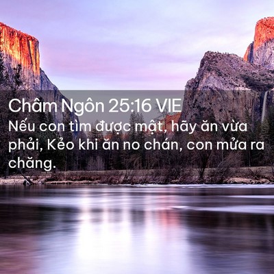 Picture 02 - Châm Ngôn 25:16 VIE - Nếu con tìm được mật, hãy ăn vừa - Bible Verse Picture