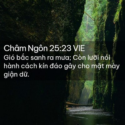 Picture 02 - Châm Ngôn 25:23 VIE - Gió bắc sanh ra mưa; Còn lưỡi nói hành - Bible Verse Picture