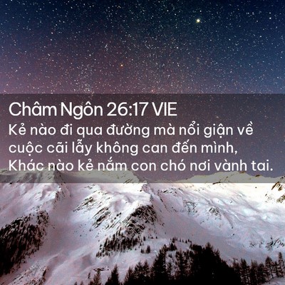 Picture 02 - Châm Ngôn 26:17 VIE - Kẻ nào đi qua đường mà nổi giận về - Bible Verse Picture