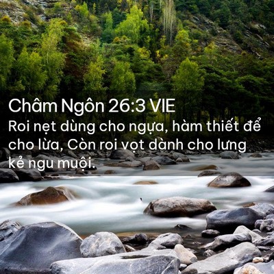 Picture 02 - Châm Ngôn 26:3 VIE - Roi nẹt dùng cho ngựa, hàm thiết để - Bible Verse Picture