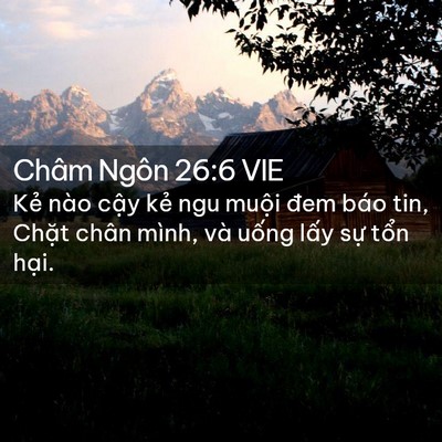Picture 02 - Châm Ngôn 26:6 VIE - Kẻ nào cậy kẻ ngu muội đem báo tin, - Bible Verse Picture