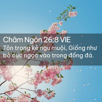 Picture 02 - Châm Ngôn 26:8 VIE - Tôn trọng kẻ ngu muội, Giống như bỏ - Bible Verse Picture