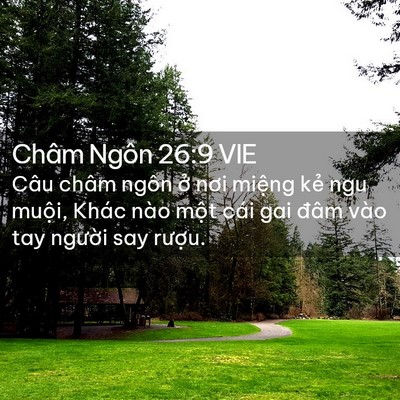 Picture 02 - Châm Ngôn 26:9 VIE - Câu châm ngôn ở nơi miệng kẻ ngu - Bible Verse Picture