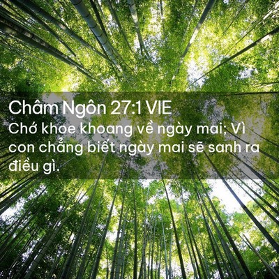Picture 02 - Châm Ngôn 27:1 VIE - Chớ khoe khoang về ngày mai; Vì con chẳng - Bible Verse Picture