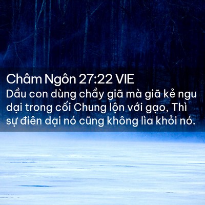 Picture 02 - Châm Ngôn 27:22 VIE - Dầu con dùng chầy giã mà giã kẻ ngu - Bible Verse Picture