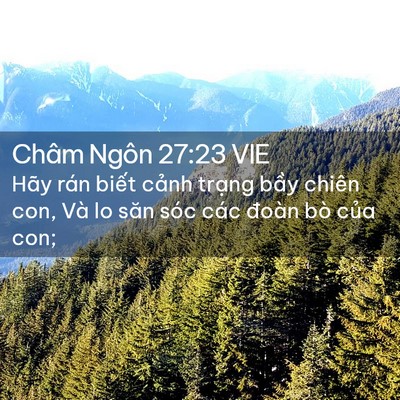 Picture 02 - Châm Ngôn 27:23 VIE - Hãy rán biết cảnh trạng bầy chiên con, - Bible Verse Picture