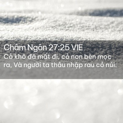 Picture 02 - Châm Ngôn 27:25 VIE - Cỏ khô đã mất đi, cỏ non bèn mọc ra, - Bible Verse Picture