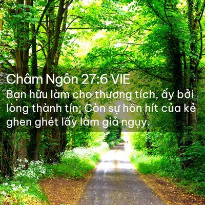 Picture 02 - Châm Ngôn 27:6 VIE - Bạn hữu làm cho thương tích, ấy bởi - Bible Verse Picture