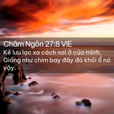 Picture 02 - Châm Ngôn 27:8 VIE - Kẻ lưu lạc xa cách nơi ở của mình, - Bible Verse Picture