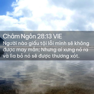 Picture 02 - Châm Ngôn 28:13 VIE - Người nào giấu tội lỗi mình sẽ - Bible Verse Picture