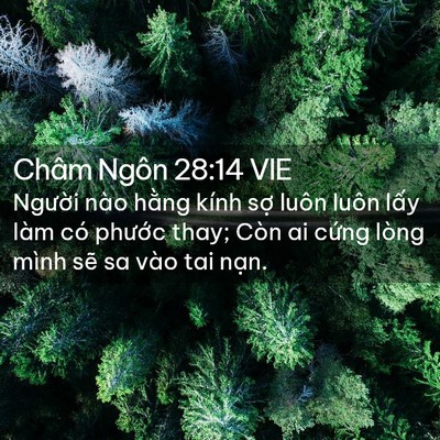 Picture 02 - Châm Ngôn 28:14 VIE - Người nào hằng kính sợ luôn luôn lấy - Bible Verse Picture
