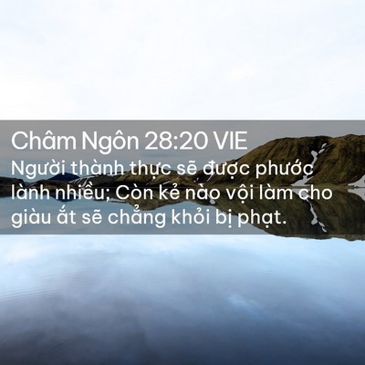 Picture 02 - Châm Ngôn 28:20 VIE - Người thành thực sẽ được phước - Bible Verse Picture