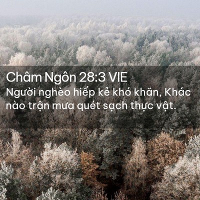 Picture 02 - Châm Ngôn 28:3 VIE - Người nghèo hiếp kẻ khó khăn, Khác - Bible Verse Picture