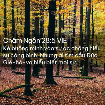 Picture 02 - Châm Ngôn 28:5 VIE - Kẻ buông mình vào sự ác chẳng hiểu - Bible Verse Picture
