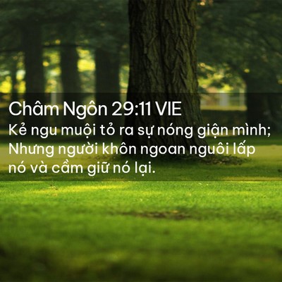 Picture 02 - Châm Ngôn 29:11 VIE - Kẻ ngu muội tỏ ra sự nóng giận mình; - Bible Verse Picture