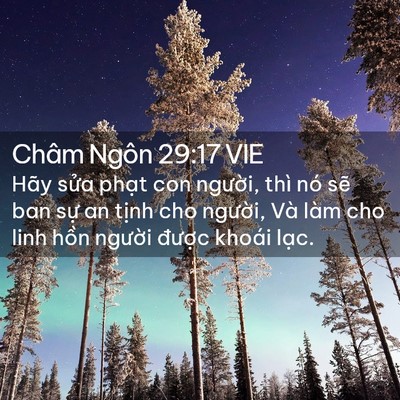 Picture 02 - Châm Ngôn 29:17 VIE - Hãy sửa phạt con người, thì nó sẽ ban - Bible Verse Picture