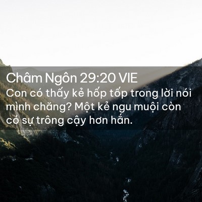 Picture 02 - Châm Ngôn 29:20 VIE - Con có thấy kẻ hốp tốp trong lời nói - Bible Verse Picture