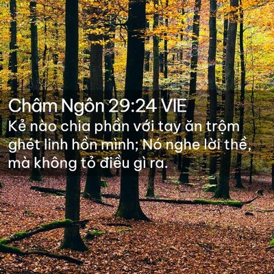 Picture 02 - Châm Ngôn 29:24 VIE - Kẻ nào chia phần với tay ăn trộm ghét - Bible Verse Picture