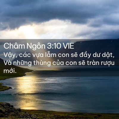 Picture 02 - Châm Ngôn 3:10 VIE - Vậy, các vựa lẫm con sẽ đầy dư - Bible Verse Picture