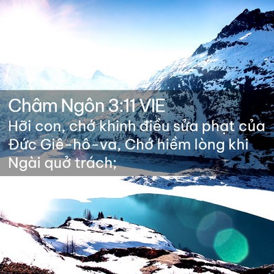 Picture 02 - Châm Ngôn 3:11 VIE - Hỡi con, chớ khinh điều sửa phạt của - Bible Verse Picture